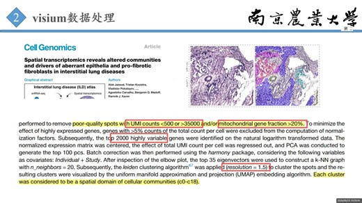 2026第一课：10X visium基础分析与多样本整合