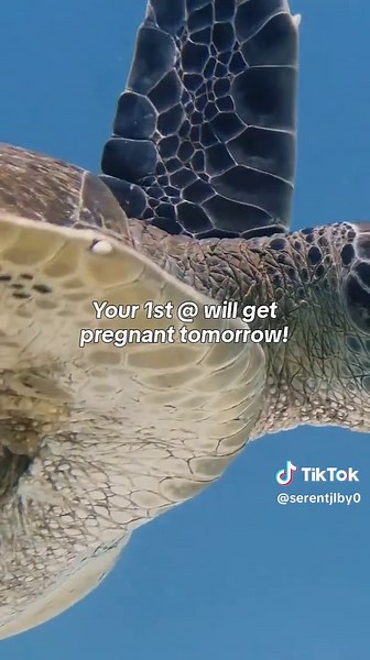 Best Music Night Playlist for Your Evenings