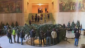 Grand Tree kicks off holidays at Oregon State Capitol