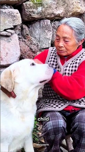 Loyal Dog Carries His Grandma, Then She Carries Him Back🐶❤️