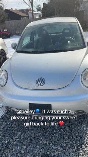 Restoring Joy with Doodlebug: A Volkswagen Beetle Journey