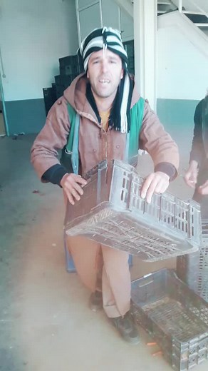 Exploring a Versatile Storage Crate for Transport