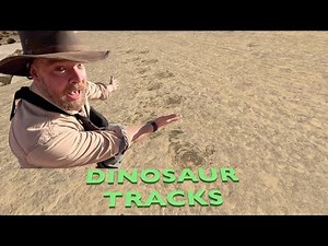 REAL Dinosaur Trails!!! Twenty Mile Dinosaur Trackway Utah.