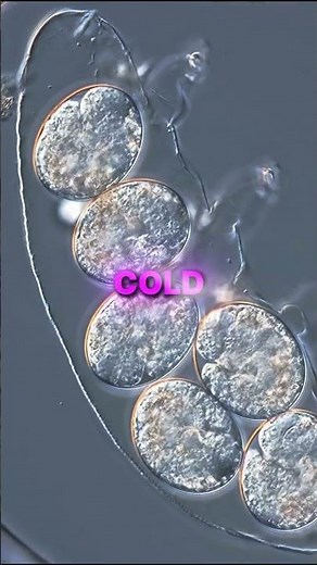 The Hidden World Inside a Single Drop of Water