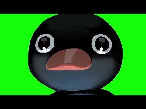 Noot Noot - Green Screen