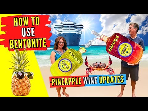Clear Wine - How to Use Bentonite Like a Professional - Pineapple Wine Updates