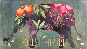 Forest Theatre, Mindful Play in Nature