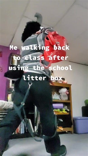 comment if u prefer the scented litter too . . . .tags ig #furry#fursuit #fursuiter#litterbox#furryfandom#school#relatable #litterboxesinourschools #furryphobiaiswrong #satire #thisisajokeiswearPLEASE