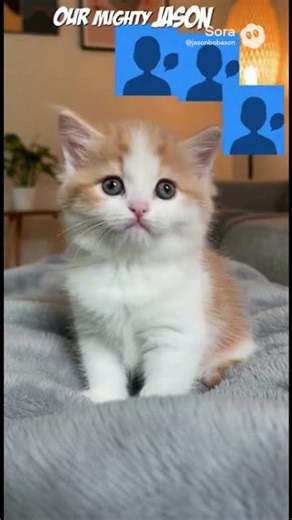 A Message & Friendly Advice For The Masked Spoofer