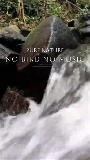 Nature Sounds River no birds no music #shorts #riversounds #nature #natural