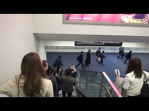 【羽田利用者必見】飛行機を降りてからモノレールまでリアルタイム（ターミナル１）