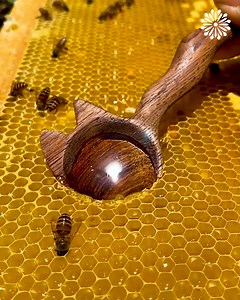 1.2M views · 10K reactions | Nature's golden nectar | Yellow Bee | Facebook