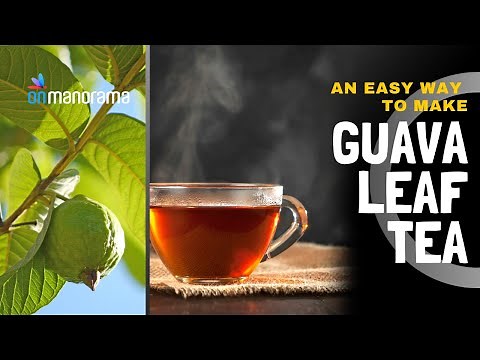 Easy-to-make Guava leaf tea