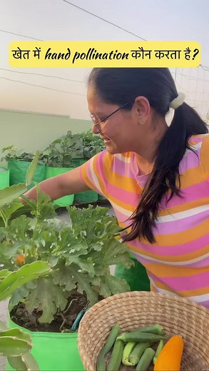 Hand pollination, the right way | Mud and Colors