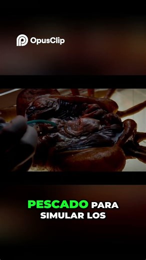 Alien Secretos del asco y vísceras reales