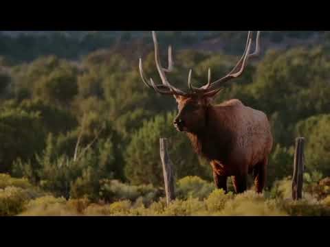 Atarque Ranch: Track One | Property Overview