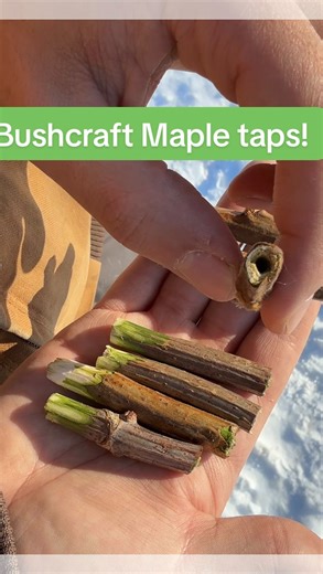 How to make natural maple taps from Elderberries and Staghorn Sumac! #traditional #homestead #permaculture #garden | The HOME