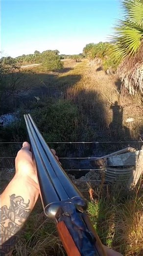 Dude, bout got Smoked! #hunting #shotgunhunting #uplandhunting #shorts #birdhunting #outdoors #wild