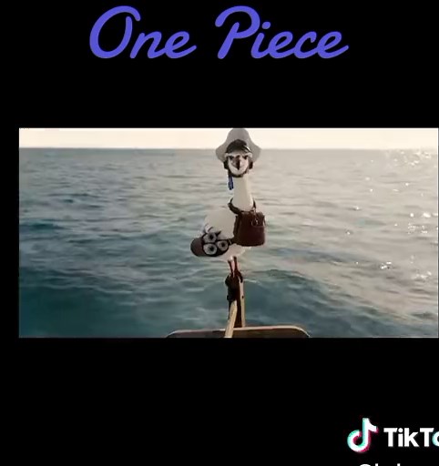 Luffy's Quest for the One Piece Treasure