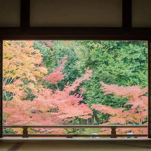 日本處處充滿驚奇，除了城市發展以外，更保留了傳統文化、更有美食、溫泉、世界遺產、自然風景之美，來趟日本自由行，感受深度日本立即出發吧。 | japanican.jp