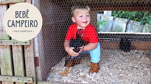 3.2M views · 113K reactions | CONHEÇA A AMIZADE FOFA DO HEITOR E DO TATA, O GALO QUE VAI ATÉ NO MERCADO | Um menino catarinense, de apenas um ano, que tem ganhado repercussão nas redes sociais por causa da relação de amizade com um galo! Confira na reportagem! | Vale Agrícola | Facebook