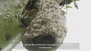 Building Small-Scale Beehives - A Step-by-Step Guide