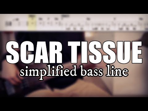 Scar Tissue - Red Hot Chili Peppers | Simplified bass line with tabs #179