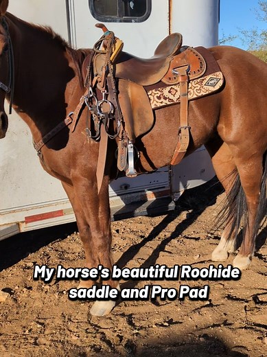 Customized Roohide Barrel Saddle for Training