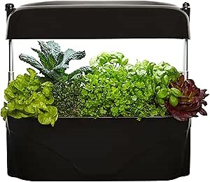vegepod - Kitchen Garden - Gourmet Herb and Vegetable Indoor Grow Kit, Self Watering, LED Grow Light (Black)