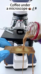 Did you know what it is looks like when it's magnified 400 times? #undermicroscope #microscope #fypシ゚ #reelsviralシ #reelsvideo | Micromagic6 Partner