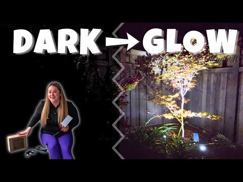 Garden Lighting Without the Mess — Solar Spotlights