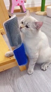 1.1K views · 6.8K reactions | Scritch Scritch Goes the Cat! Nothing Beats the Satisfaction of a good Scratch! Get one at $14.99 #pets #petparents #petsafety #dogs #dogslife #petcare #petlovers #petlove #cat #catto #cattoy #kitty #catlove #catfun #catlovers #catscratcher | Animal Tales | Facebook