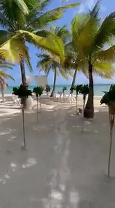 A little path to love & happiness. Such a perfect day for a wedding 😍 #ramonsvillageresort #justsayido #beachwedding #islandwedding | Ramon's Village Resort