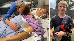 Apprentice builder who fell 4m at construction site has died