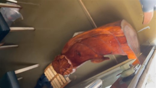 Lin Cheng Han on Reels