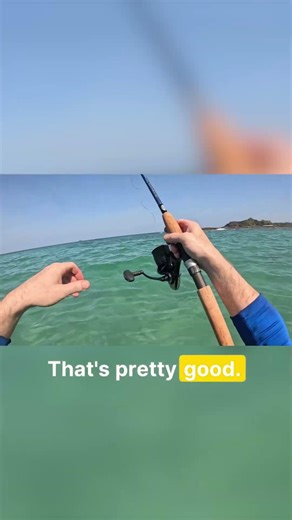 Going for Shark in Survival!