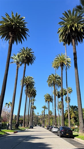 Exploring the Glamour of Beverly Hills