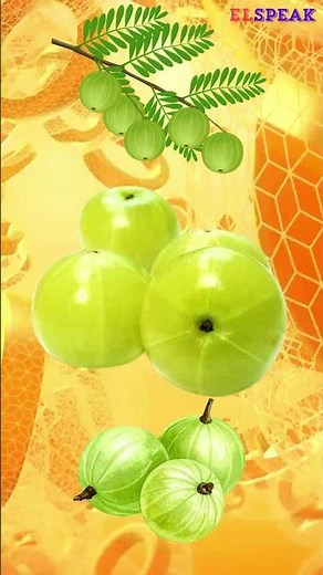 Amla: The Ultimate Vitamin C Superfruit You Need! #elspeak #english #esl #fruit #amla #education