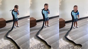 Viral Video: കുഞ്ഞിന്റെ കഴുത്തിൽ ചുറ്റി വരിഞ്ഞ് പാമ്പ്, അലറി വിളിച്ച് കുട്ടി - വീഡിയോ കണ്ടാൽ ഞെട്ടും!