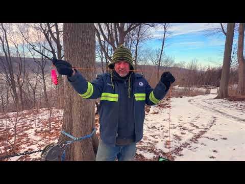 Unusual Gardening Tools With Timothy Tilghman