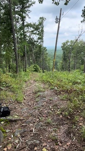 The highest viewpoint in Abbeville County, SC! Parsons Mtn. #fadedandforgottenhistory