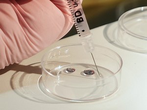 Generation of Genetically Modified Mice through the Microinjection of Oocytes