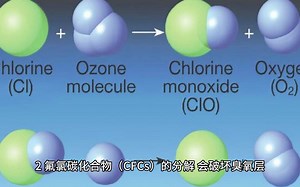什么是卤素测试？卤素测试项目有哪些？