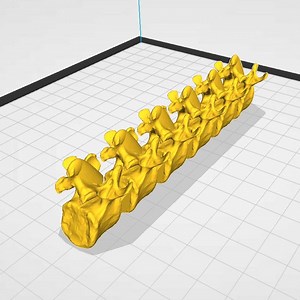 Fidget Toy Spine 3D Printing STL File - Human Anatomy Vertebrae - Halloween Toy - Etsy