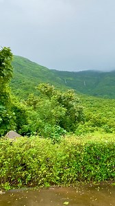 Shreedevi nekkanti on Instagram: "When I walk from my room to the wellness I came across such beautiful things which we neglect in our daily lives. @atmantan"
