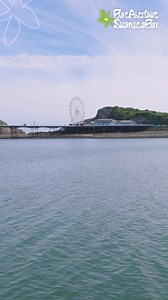 83 reactions · 22 shares | Ride the Big Wheel, gear up for go karting or go head-to-head with the family in the amusement arcade. Then enjoy your favourite ice cream with panoramic sea views across Swansea Bay and Mumbles! www.visitswanseabay.com Wales Swansea Council Mumbles Pier Verdis Cafe, Mumbles #HappyPlace #FeeltheHwyl #VisitSwanseaBay | Visit Swansea Bay, Mumbles and Gower | Facebook