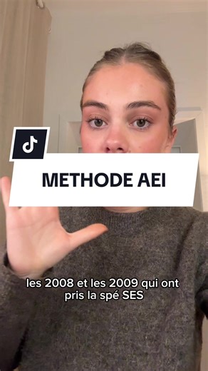 Maîtriser le Paragraphe Argumentatif avec la Méthode AEI