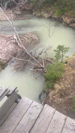 Gabe at the treehouse#gopro #music #viral #awesome #cool #funny #gopro