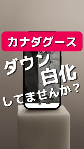 カナダグースダウンの白化修正サービス