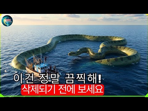이런 광경은 매일 볼 수 있는 게 아니죠! 역사상 가장 큰 동물이 2025년에 나타날 확률은 백만 분의 1입니다. 여행 다큐멘터리입니다.
